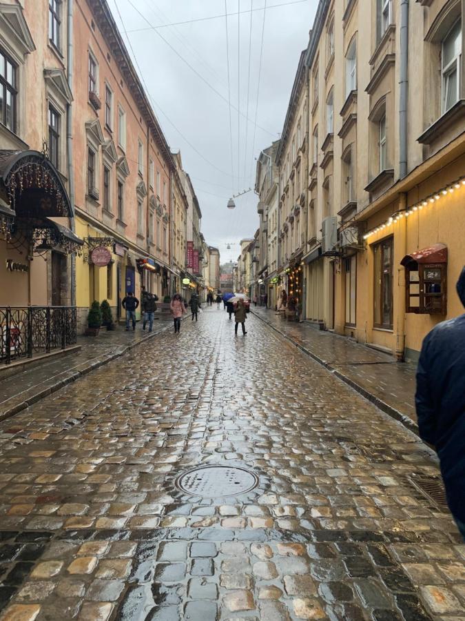 Mary Apartman Lviv Kültér fotó